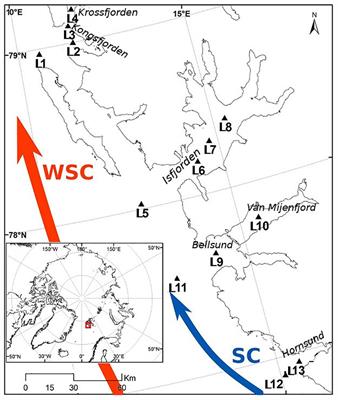 Darkening of the Svalbard Fjords Waters Observed With Satellite Ocean Color Imagery in 1997–2019